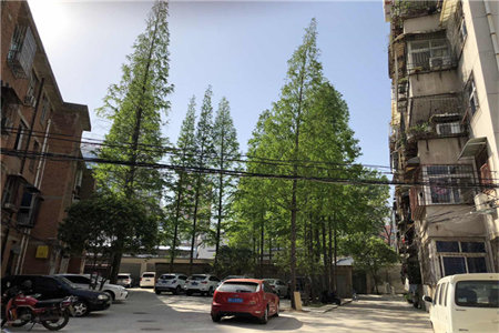 利民大厦两居室简单装修有证可分期送储藏室出售